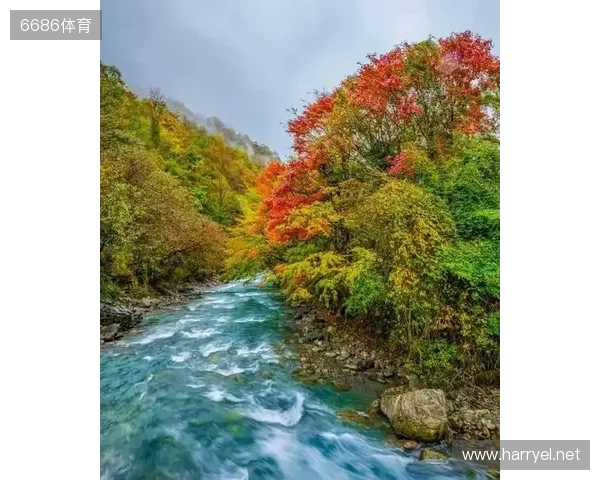 二郎山喇叭河赏秋之旅:立体彩林、野生动物、溪谷红石融为一体